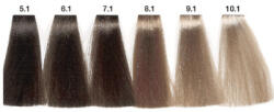 Carin Haircosmetics Color Intensivo vopsea de păr 100 ml 08.1