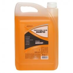 Carin Haircosmetics Salon Șampon 5000ml
