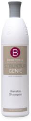 BERRYWELL Care Șampon cu keratină 1000 ml (B18092)