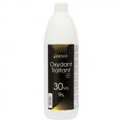 Carin Haircosmetics Oxydant Traitant 30vol 9% 950ml
