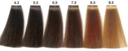 Carin Haircosmetics Color Intensivo vopsea de păr 100 ml 09.3