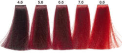Carin Haircosmetics Color Intensivo vopsea de păr 100 ml 08.6