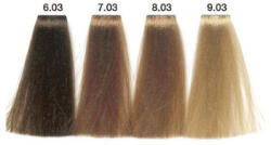 Carin Haircosmetics Color Intensivo vopsea de păr 100 ml 09.03