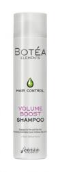 Carin Haircosmetics Botéa Volume șampon 250ml