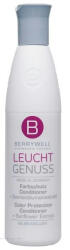 BERRYWELL Care Balsam pentru protecția culorii 251 ml (B18014)