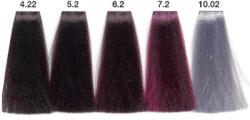 Carin Haircosmetics Color Intensivo vopsea de păr 100 ml 10.02