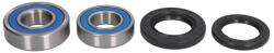 ALL BALLS Kit rulmenti roata ALL BALLS AB25-1252 (AB25-1252)