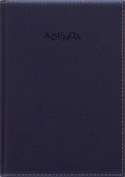 Dayliner Agendă, planificator, format B5, zilnică, DAYLINER, „Napoli, albastră (DL7AG-NACB5NA-KK)
