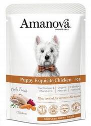 Amanova Dog Puppy Exquisite Chicken csirke tasak 300g [P08]