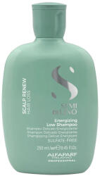 ALFAPARF Milano Semi di lino Scalp Energizing sampon 250ml