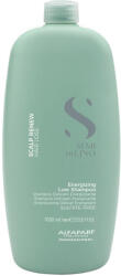 ALFAPARF Milano Semi di lino Scalp Energizing Sampon 1000ml