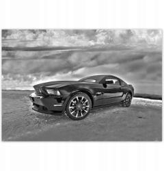 ZeSmakiem Fotótapéták 416x290 Ford Mustang a hóban Autó Klasszikus Made in Usa (H10438M_TV5BD_416x290cm ODS)