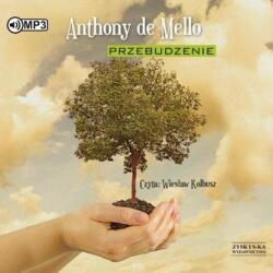Anthony De Mello Przebudzenie audiobook