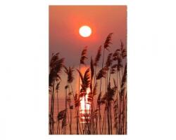 DIMEX ART Nem szőtt fotótapéta a falra nád a tavon 150 x 250 cm (MS-2-0089)