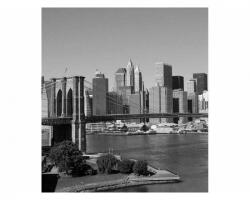 DIMEX ART Nem szőtt fotótapéta manhattan szürke színben 225 x 250 cm (MS-3-0010)