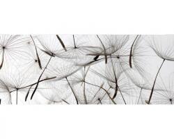 DIMEX ART Panorámás nem szőtt fotótapéta bolyhos pitypang 375 x 150 cm (MP-2-0122)