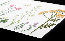 DIMEX ART Plexi a konyhapult mögött rajz a herbáriumból - 60 x 40 cm (PGT-06040-219)