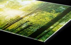 DIMEX ART Plexi a konyhapult mögött buja zöld erdő - 80 x 40 cm (PGT-08040-189)