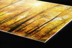 DIMEX ART Plexi a konyhapult mögött napos erdő - 60 x 40 cm (PGT-06040-084)