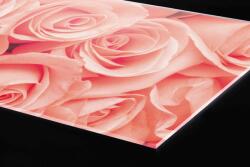 DIMEX ART Plexi a konyhapult mögött rózsák - 80 x 40 cm (PGT-08040-052)