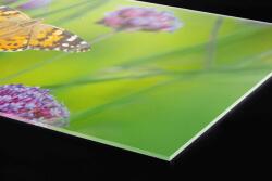DIMEX ART Plexi a konyhapult mögött pillangók - 240 x 60 cm (PGT-24060-113)