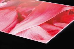 DIMEX ART Plexi a konyhapult mögött piros szirmok - 180 x 60 cm (PGT-18060-056)