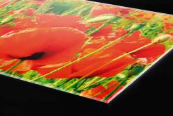 DIMEX ART Plexi a konyhapult mögött piros mák - 60 x 40 cm (PGT-06040-028)