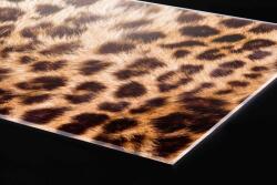 DIMEX ART Plexi a konyhapult mögött leopárd bőr - 100 x 60 cm (PGT-10060-069)