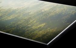 DIMEX ART Plexi a konyhapult mögött ködös erdő - 60 x 60 cm (PGT-06060-194)