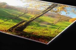 DIMEX ART Plexi a konyhapult mögött rét - 80 x 60 cm (PGT-08060-083)