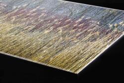 DIMEX ART Plexi a konyhapult mögött téli nád - 60 x 60 cm (PGT-06060-170)