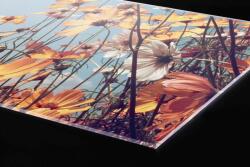 DIMEX ART Plexi a konyhapult mögött tavaszi rét - 100 x 60 cm (PGT-10060-123)