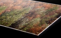 DIMEX ART Plexi a konyhapult mögött színes fenyőliget - 60 x 60 cm (PGT-06060-198)