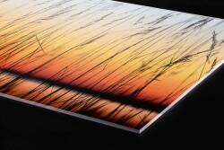 DIMEX ART Plexi a konyhapult mögött nád - 80 x 40 cm (PGT-08040-129)