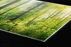 DIMEX ART Plexi a konyhapult mögött buja erdő - 60 x 40 cm (PGT-06040-133)