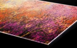 DIMEX ART Plexi a konyhapult mögött színes virágos háttér - 180 x 60 cm (PGT-18060-211)