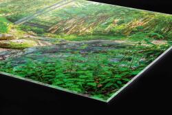 DIMEX ART Plexi a konyhapult mögött botanikus kert - 180 x 60 cm (PGT-18060-134)