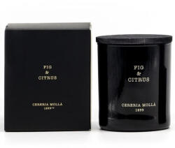 Cereria Mollá Cereria Mollá FIG & CITRUS illatgyertya, 230 g (MOLLA5547)