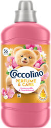 Coccolino Perfume & Care öblítő Honeysuckle & Sandalwood - 56 mosás 1288ml - t-depo