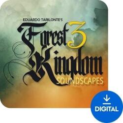 Engine Audio Forest Kingdom 3 - Soundscapes (Produs digital)