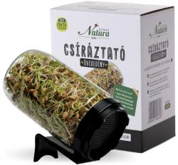Dénes Natura Recipient pentru germinare din sticlă - negru (1buc)