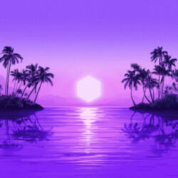 SONY - International Purple Disco Machine Paradise | Columbia Local