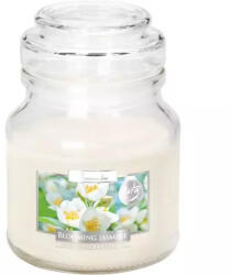 BISPOL Lumânare cu aromă de iasomie înflorită snd71-169 120g