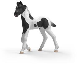 Schleich Mânz Rocky de colecție (OLP102681481) Figurina