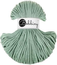 Bobbiny Classic 4 mm 100 m Aloe юта (CX-E005)