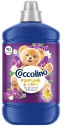 Coccolino Perfume & Care öblítő Purple Orchid & Blueberry - 70 mosás 1610ml - ecobond