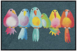 Salonloewe Rainbow Birds 050x75 cm szennyfogó lábtörlő
