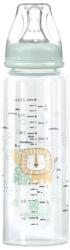 KikkaBoo Biberon din sticlă 240 ml Savanna Mint 31302020118