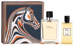Hermès Hermes Terre D'hermes Apă de toaletă Spray Locion Corporal 100ml