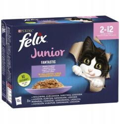 FELIX Fantastic Junior Ízkeverék macskakölyöknek szánt, zselés eledel 12x85g (7613039776810)